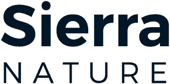 www.rafael-michel.de